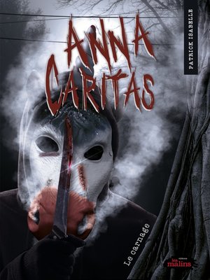 cover image of Anna Caritas 4